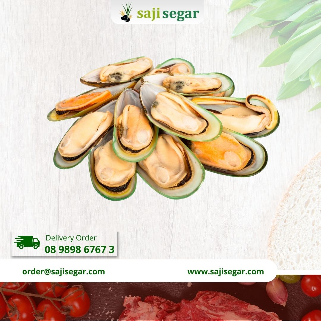 kerang hijau kijing SEGAR / Kerang Hijau Ijo Seafood / Kerang Laut Fresh - 500gr